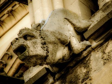 Reims Fransa'daki Notre Dame Katedrali
