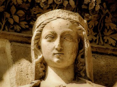 Reims Fransa'daki Notre Dame Katedrali