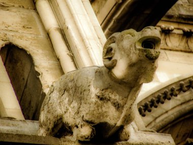 Reims Fransa'daki Notre Dame Katedrali