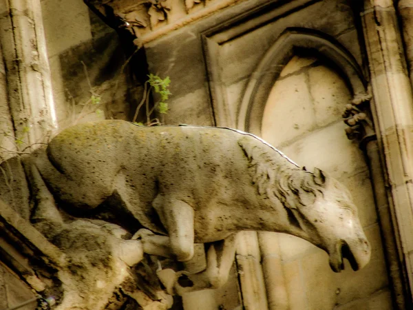 Pohled Katedrálu Notre Dame Reims Francii — Stock fotografie