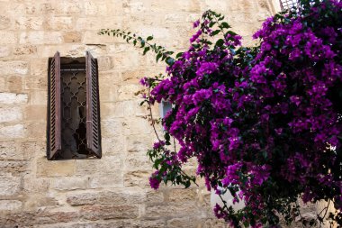 Kudüs İsrail 17 Mayıs 2018 Eski Kudüs şehri, Yahudi Mahallesi sokak görünümü