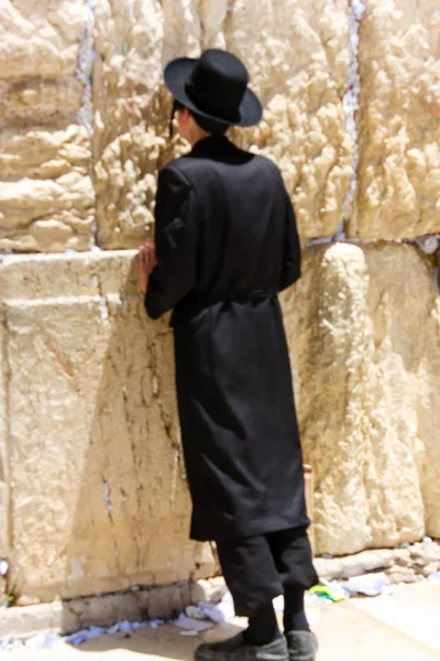 stock image Jerusalem Israel May 21, 2018 View of an unknown religious Orthodox Jew praying in front of the western wall of the old city of Jerusalem