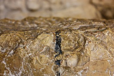 Kudüs İsrail 21 Mayıs 2018 Kudüs'ün eski şehri Batı Decumanus görünümünü