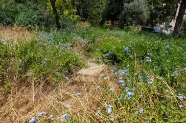 Kudüs İsrail 28 Mayıs 2018 Kudüs şehir merkezinde bir eski terk edilmiş Arap mezarlığı görünümü