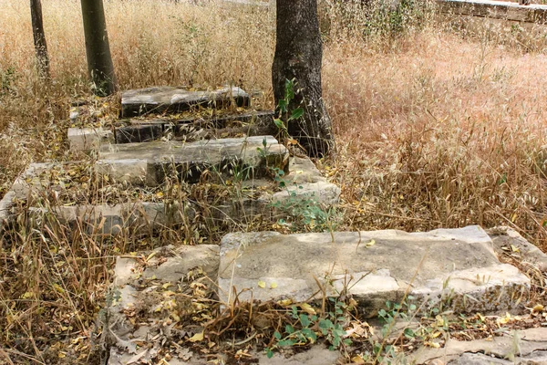 Jérusalem Israël Mai 2018 Vue Vieux Cimetière Arabe Abandonné Centre — Photo