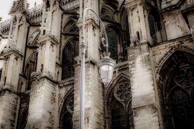 Reims Fransa'daki Notre Dame Katedrali