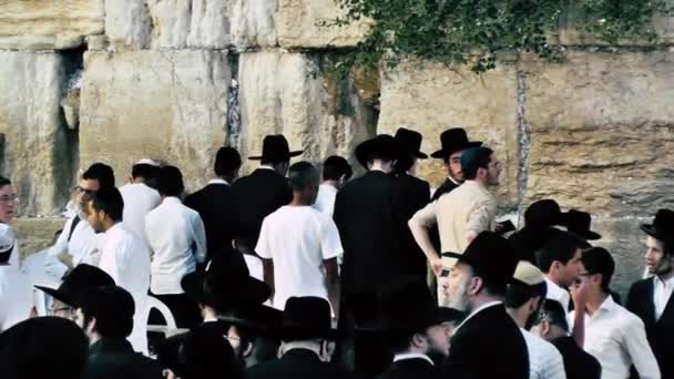 Jerusalém Israel Junho 2018 Vista Pessoas Desconhecidas Orando Frente Muro — Vídeo de Stock