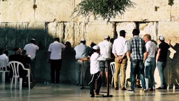 Jerusalém Israel Junho 2018 Vista Pessoas Desconhecidas Orando Frente Muro — Vídeo de Stock