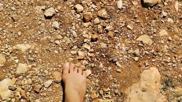 エルサレム イスラエル 2018 日午後にエルサレムのまわり自然の中歩いて未知の女の子観 — ストック動画