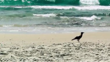 Rishon Lezion, İsrail Palmachim Beach'te deniz görünümü  