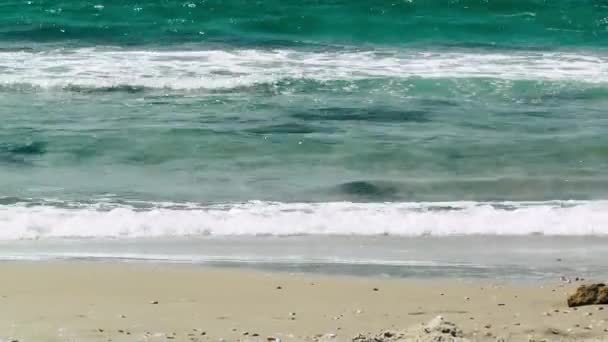 以色列里雄莱锡安 Lezion Palmachim 海滩的海观 — 图库视频影像