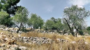 Doğa ve manzara Kudüs'te İsrail çevresinde      
