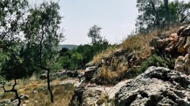 Doğa ve manzara Kudüs'te İsrail çevresinde      