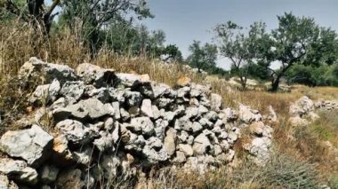 Doğa ve manzara Kudüs'te İsrail çevresinde      