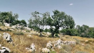 Doğa ve manzara Kudüs'te İsrail çevresinde      