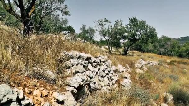 Natura Krajobraz Wokół Jerozolimy Izraelu — Wideo stockowe