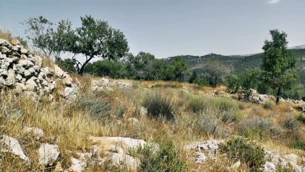 Natura Krajobraz Wokół Jerozolimy Izraelu — Wideo stockowe