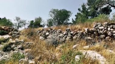 Doğa ve manzara Kudüs'te İsrail çevresinde      