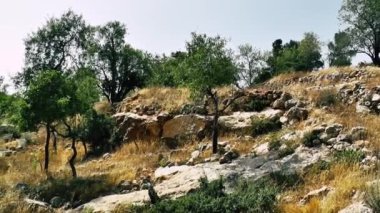 Doğa ve manzara Kudüs'te İsrail çevresinde      