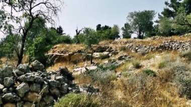 Doğa ve manzara Kudüs'te İsrail çevresinde      