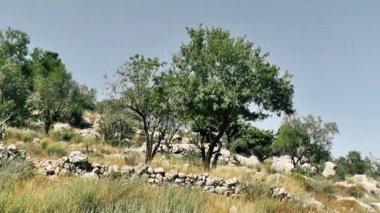 Doğa ve manzara Kudüs'te İsrail çevresinde      