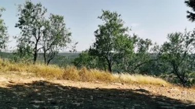 Doğa ve manzara Kudüs'te İsrail çevresinde      
