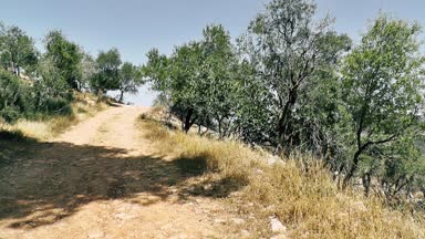 Doğa ve manzara Kudüs'te İsrail çevresinde      