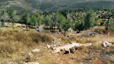 Doğa ve manzara Kudüs'te İsrail çevresinde      