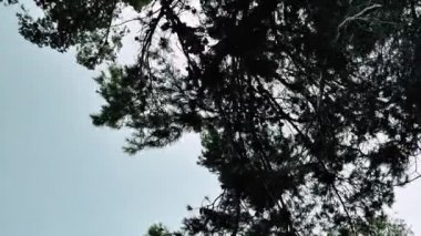 Doğa ve manzara Kudüs'te İsrail çevresinde      