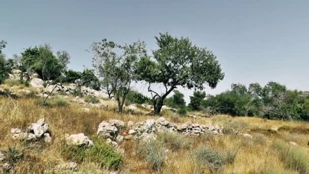 Natuur Landschap Rond Jeruzalem Israël — Stockvideo