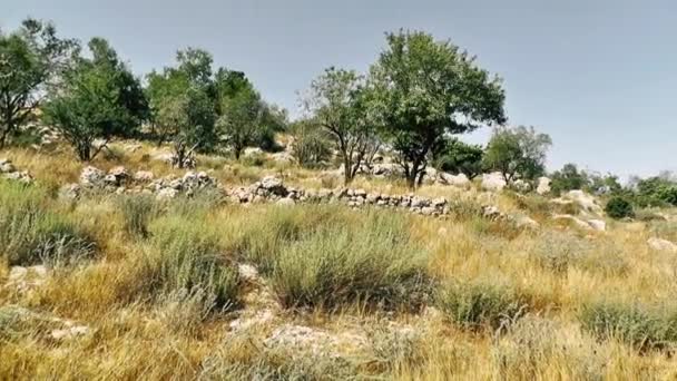 Natuur Landschap Rond Jeruzalem Israël — Stockvideo