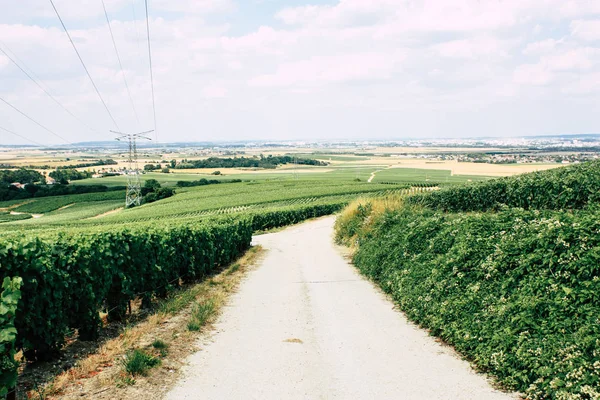 Villedommange Fransa 07 Temmuz 2018 şampanya görünümü üzüm bağları öğleden sonra bir bulutlu gökyüzü altında