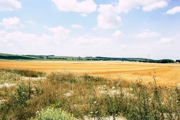 Fransa'da Reims yakınındaki manzara görünümünü