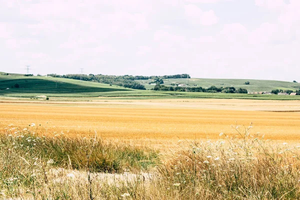 Fransa'da Reims yakınındaki manzara görünümünü