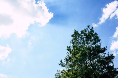 Fransa'da Reims yakınındaki manzara görünümünü