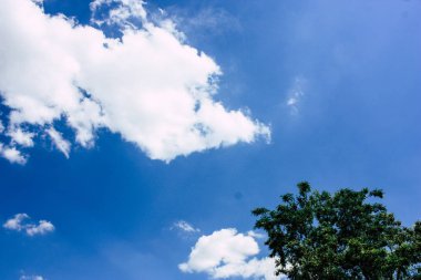 Fransa'da Reims yakınındaki manzara görünümünü