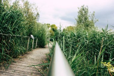 Fransa'da Reims yakınındaki manzara görünümünü