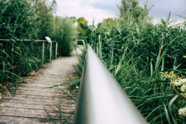 Fransa'da Reims yakınındaki manzara görünümünü