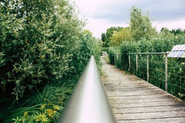 Fransa'da Reims yakınındaki manzara görünümünü
