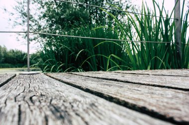 Fransa'da Reims yakınındaki zemin seviyesinden ahşap köprü görünümü