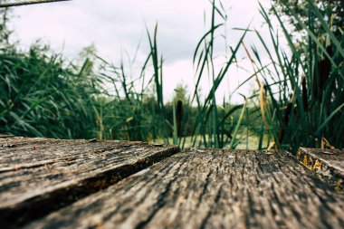 Fransa'da Reims yakınındaki zemin seviyesinden ahşap köprü görünümü