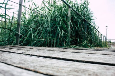 Fransa'da Reims yakınındaki zemin seviyesinden ahşap köprü görünümü