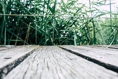 Fransa'da Reims yakınındaki zemin seviyesinden ahşap köprü görünümü