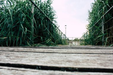 Fransa'da Reims yakınındaki zemin seviyesinden ahşap köprü görünümü