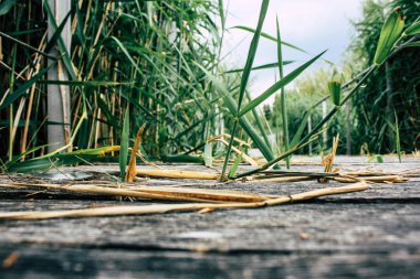 Fransa'da Reims yakınındaki zemin seviyesinden ahşap köprü görünümü