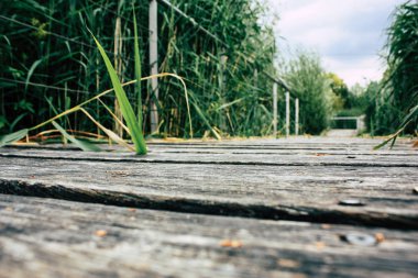 Fransa'da Reims yakınındaki zemin seviyesinden ahşap köprü görünümü