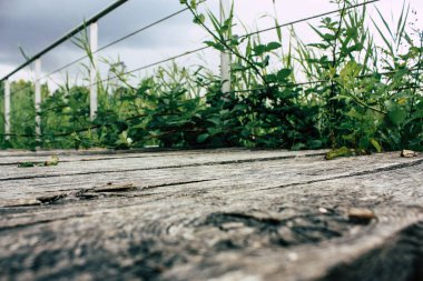 Fransa'da Reims yakınındaki zemin seviyesinden ahşap köprü görünümü