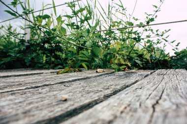 Fransa'da Reims yakınındaki zemin seviyesinden ahşap köprü görünümü