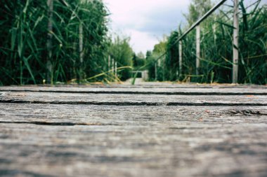 Fransa'da Reims yakınındaki zemin seviyesinden ahşap köprü görünümü