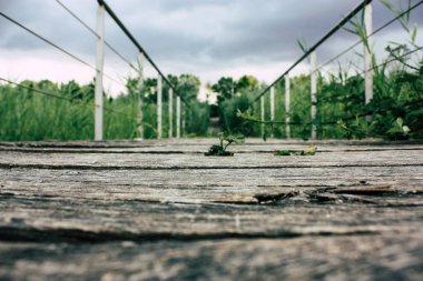 Fransa'da Reims yakınındaki zemin seviyesinden ahşap köprü görünümü